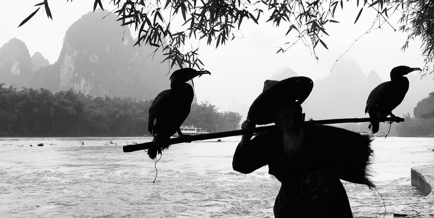 Hanzi of the day! 烏