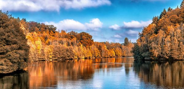 Coding gotchas: Of references and copies