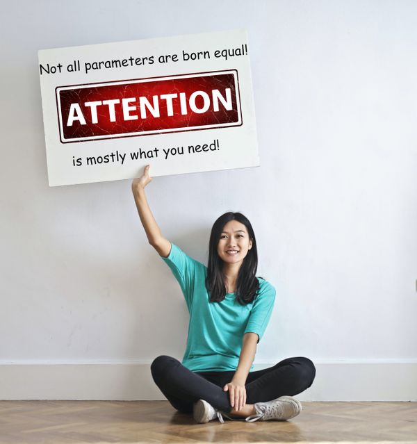 Not all parameters are born equal! Attention is mostly what you need!