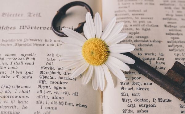 Failing to do simple domain adaptation for Neural Machine Translation